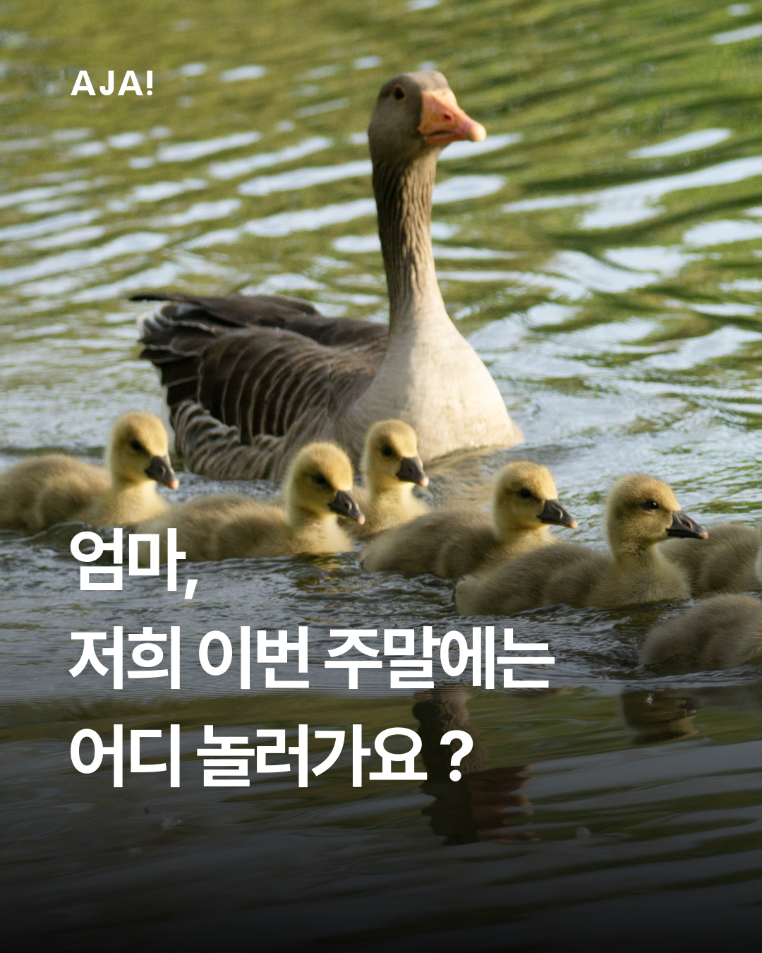 장소 서울에서 즐기는 이미지