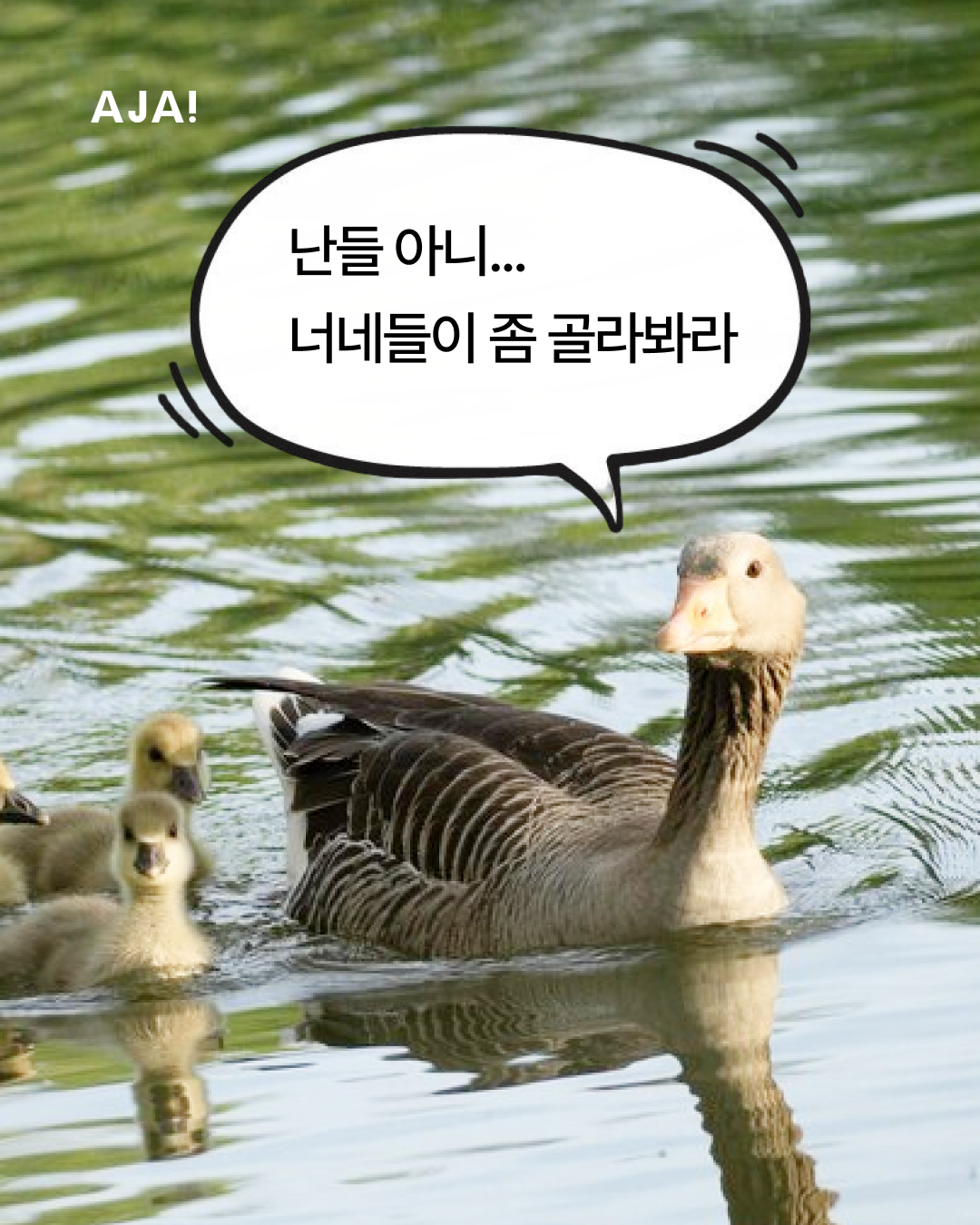 서울에서 즐기는 역사 이미지