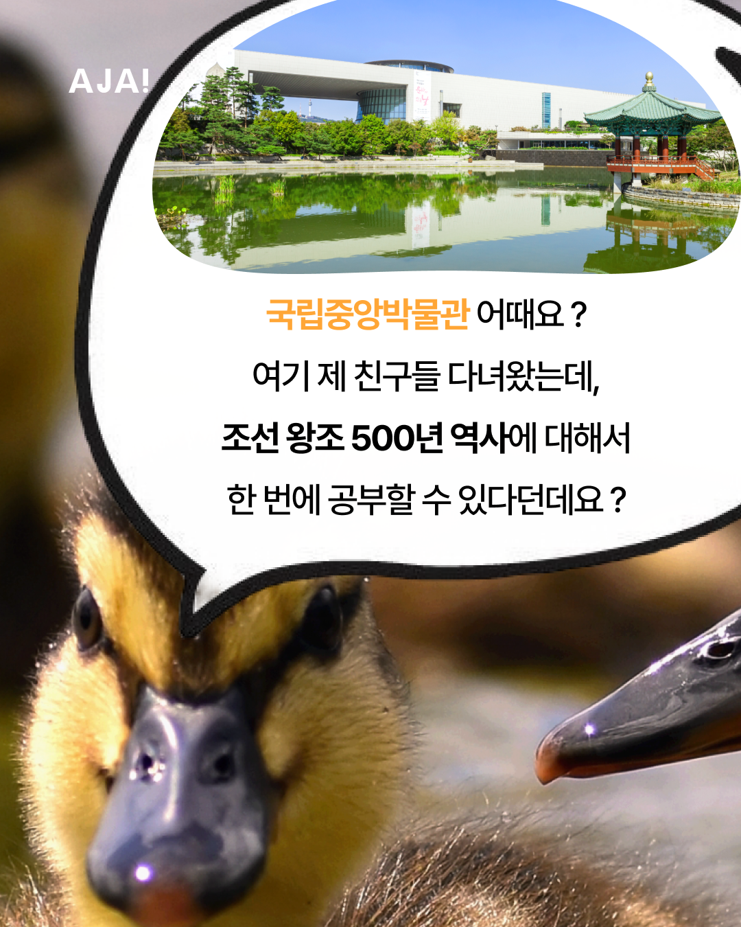 즐기는 역사 탐방 이미지