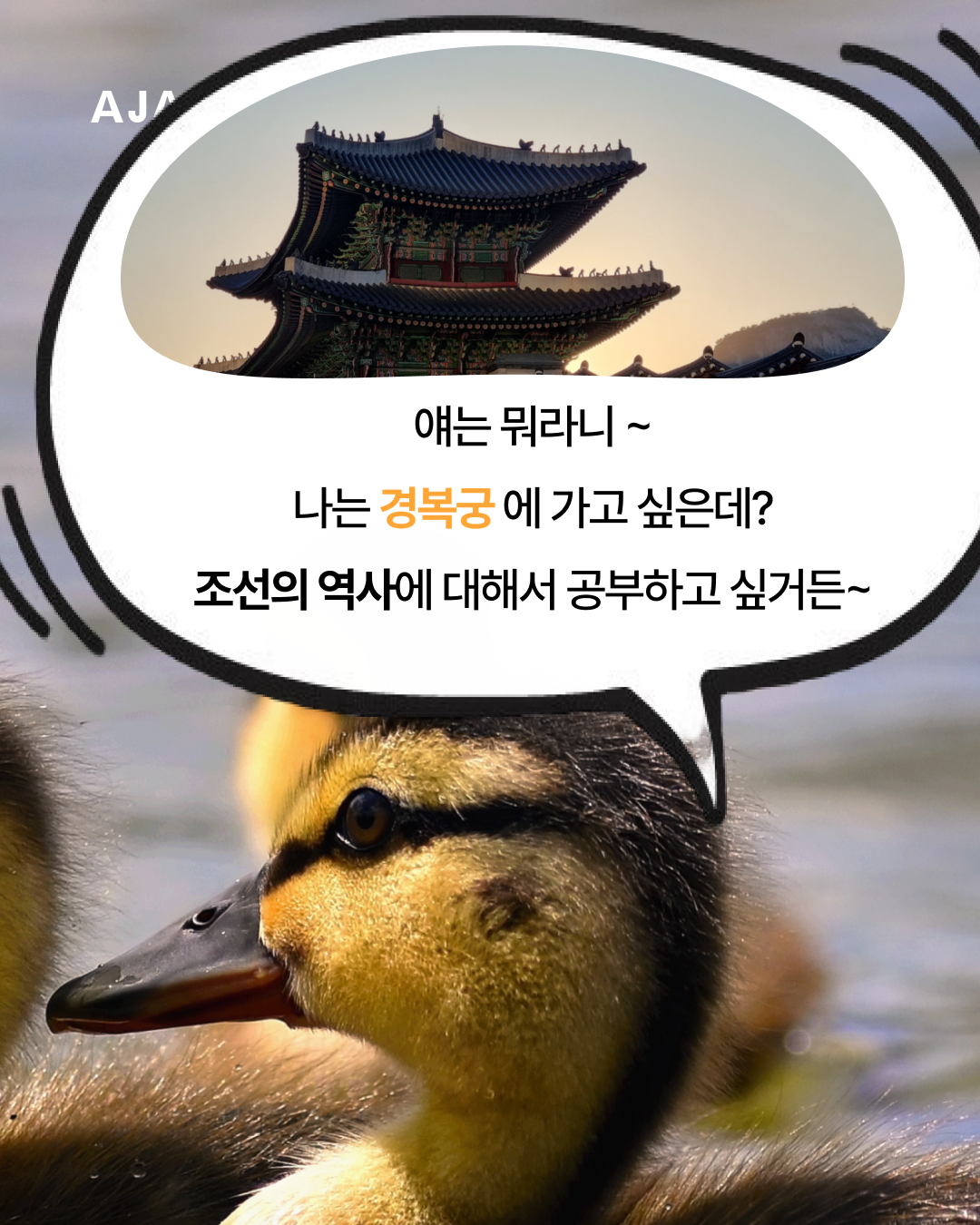 탐방 창경궁·경복궁·국립중앙박물관 추천 이미지
