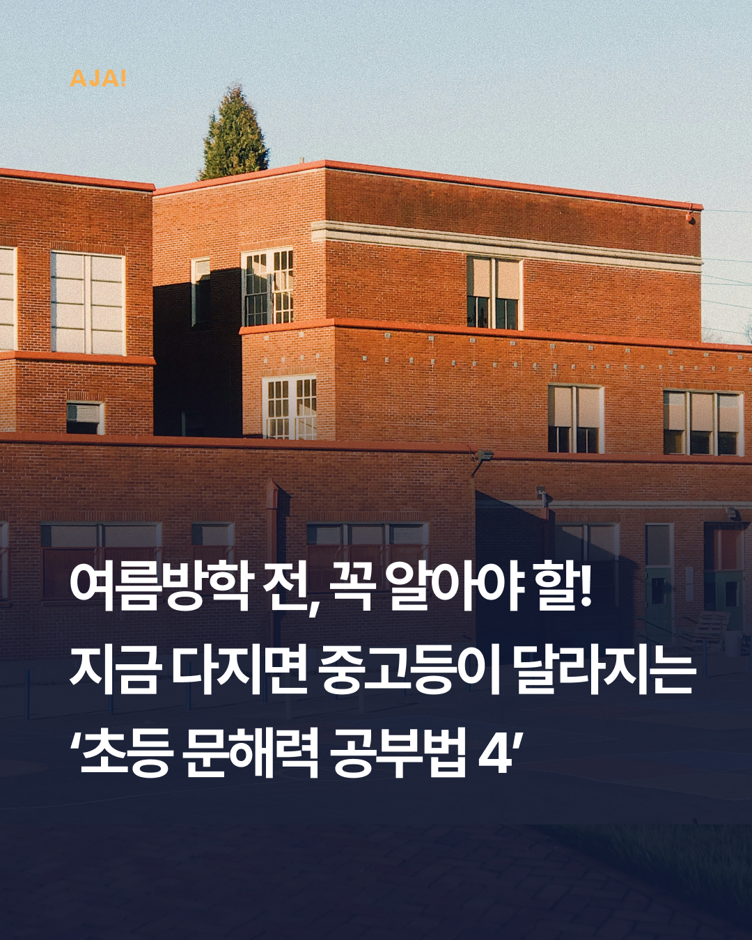 교육 초등 문해력 이미지