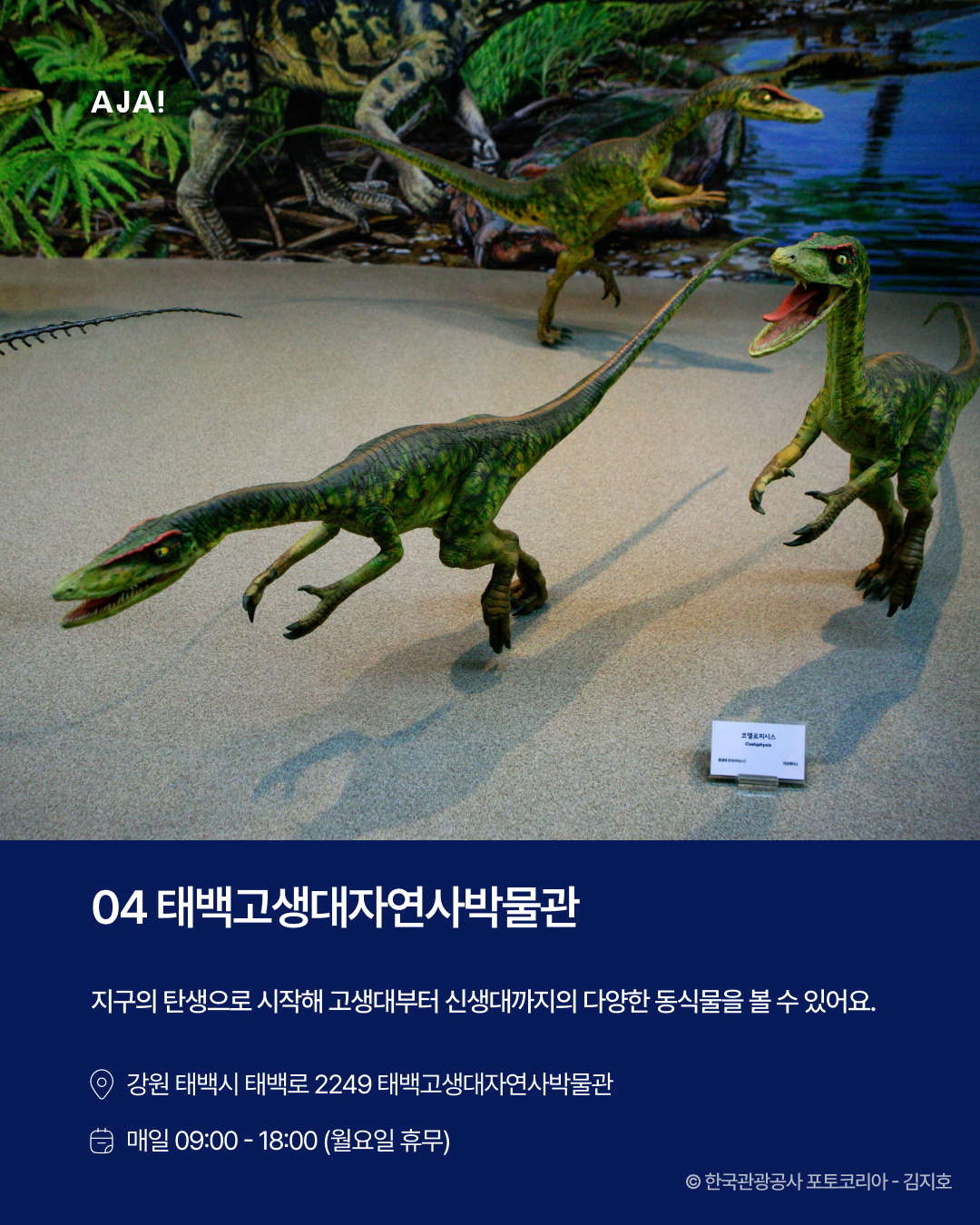 추천 실내 공룡박물관 이미지