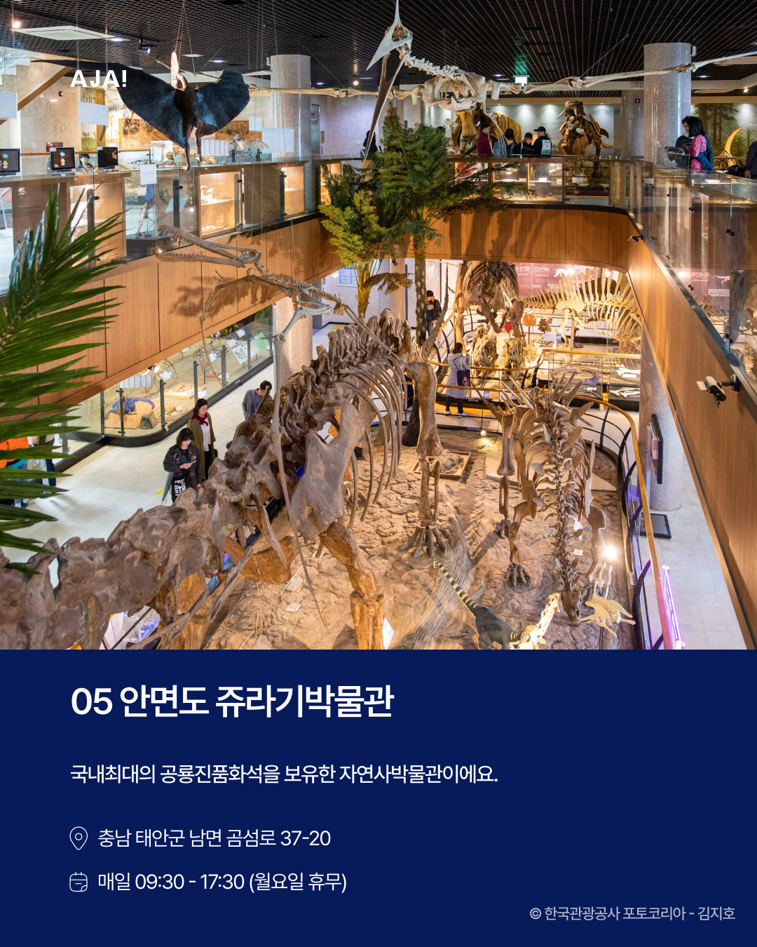 실내 공룡박물관 BEST 이미지