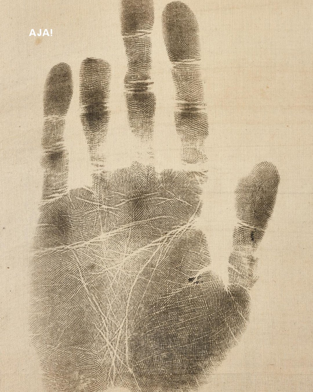 115년 만에 공개 이미지