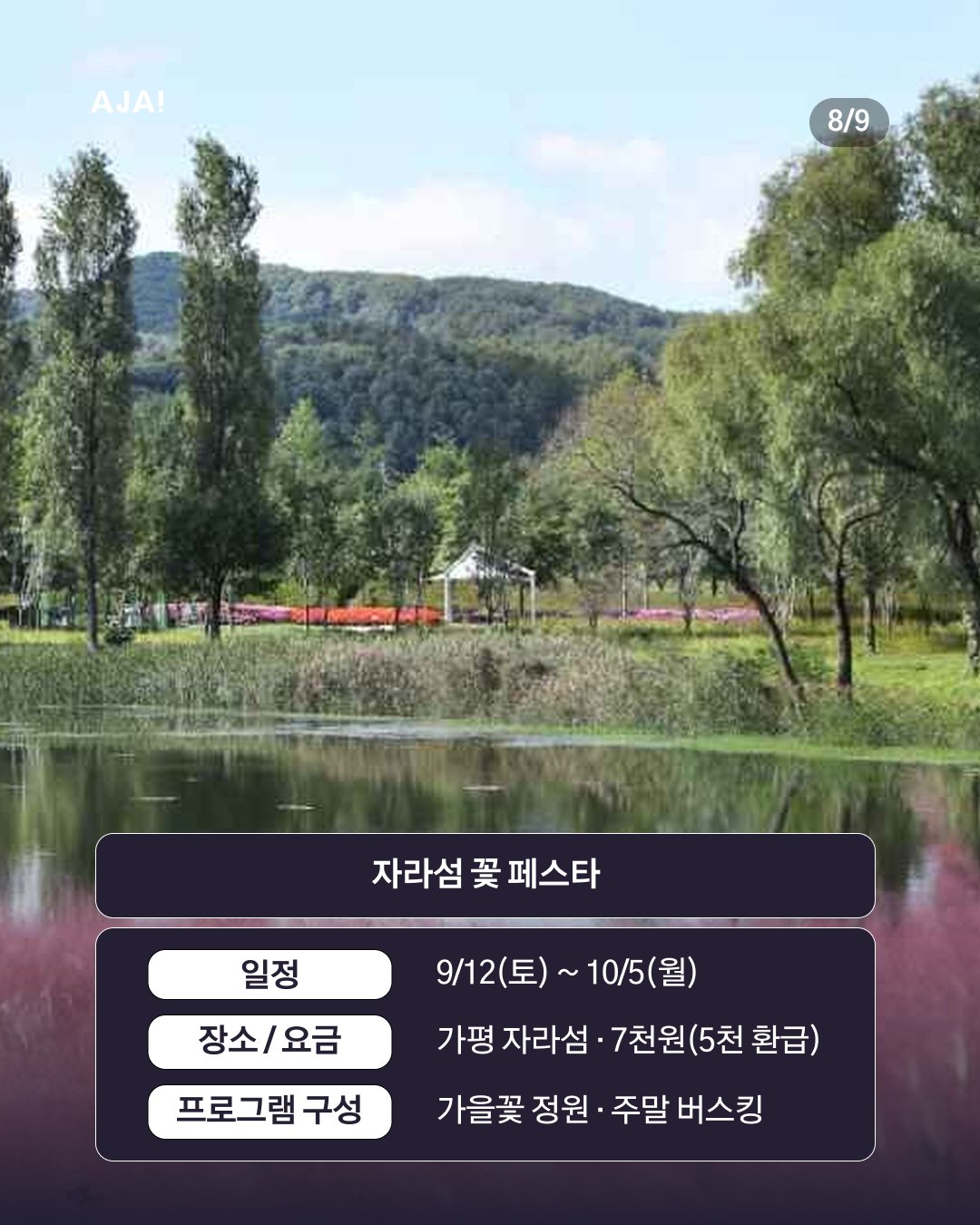 정리 9월축제 수도권축제 08-_1789031440550