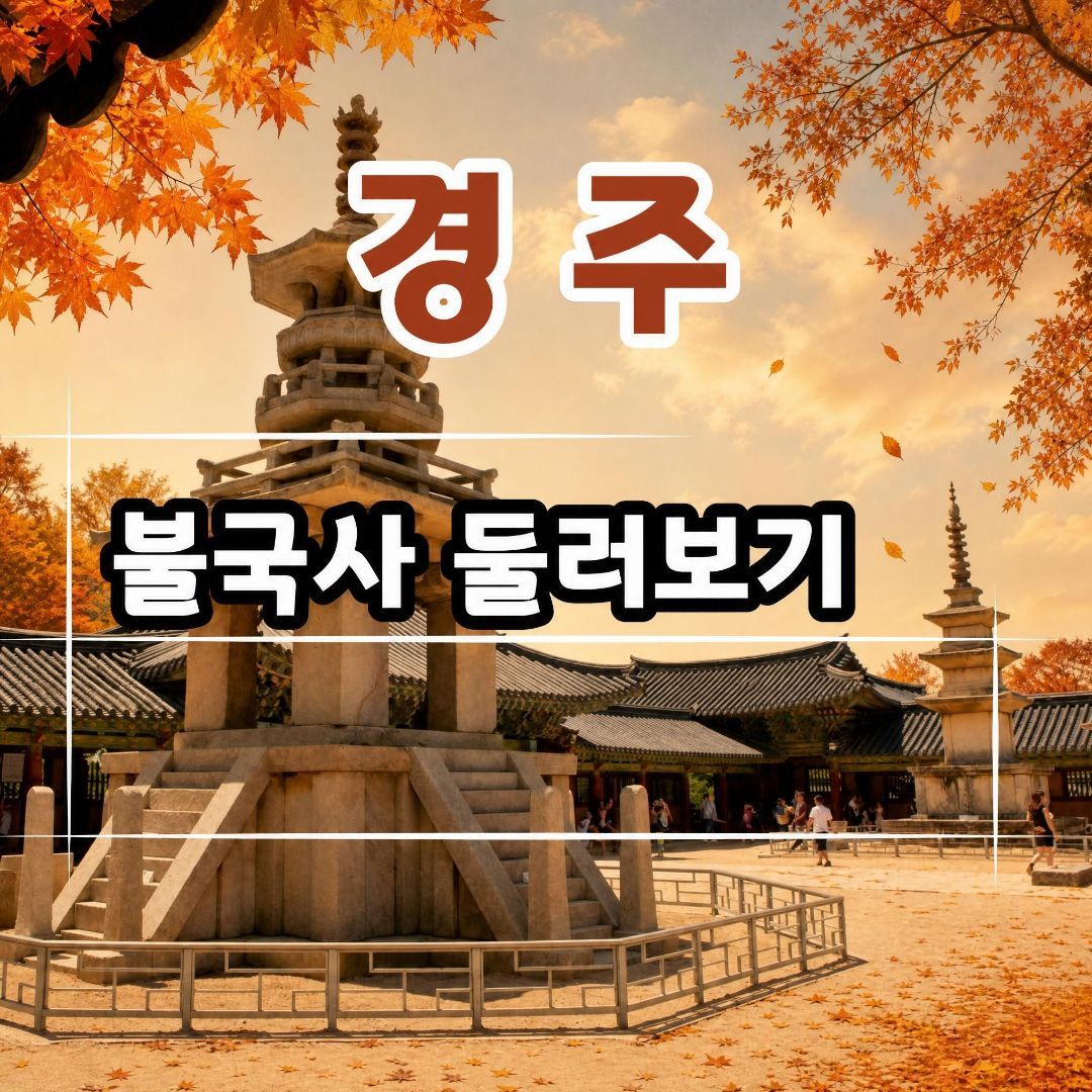 체험 이미지 1