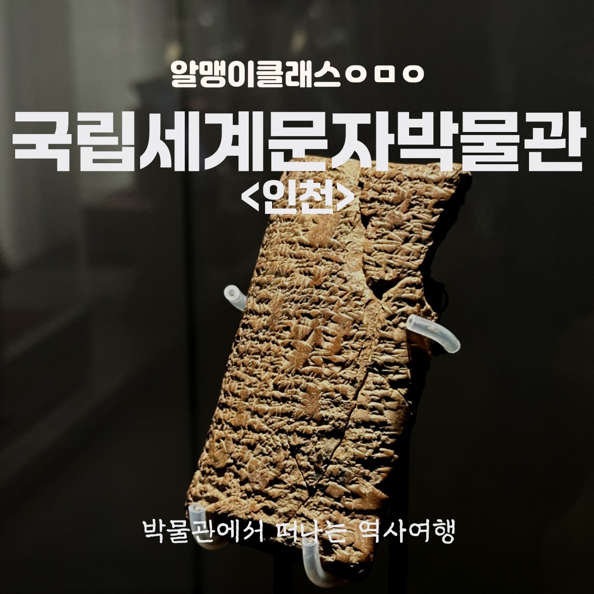 체험 이미지 1