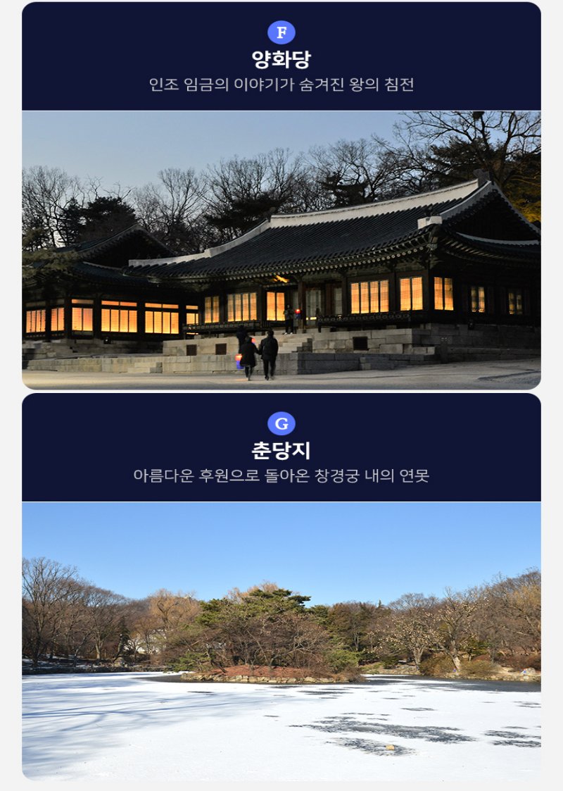 별빛 달빛 창경궁 야행 상세 이미지 12
