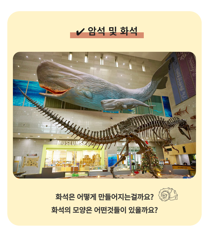 상세 이미지 6