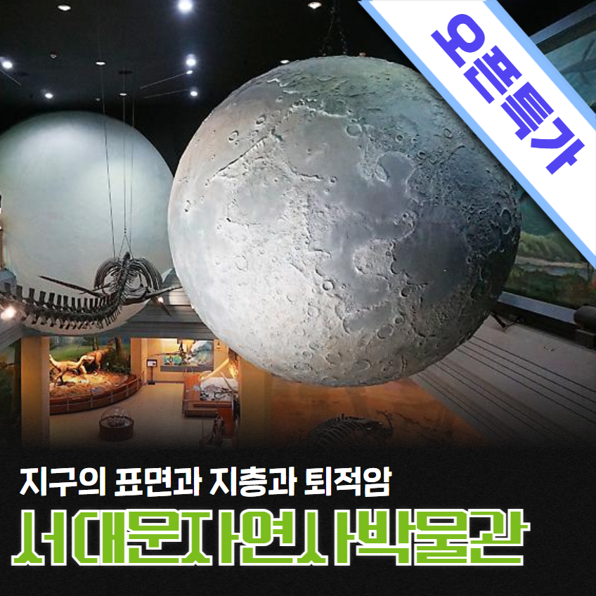 체험 이미지 1