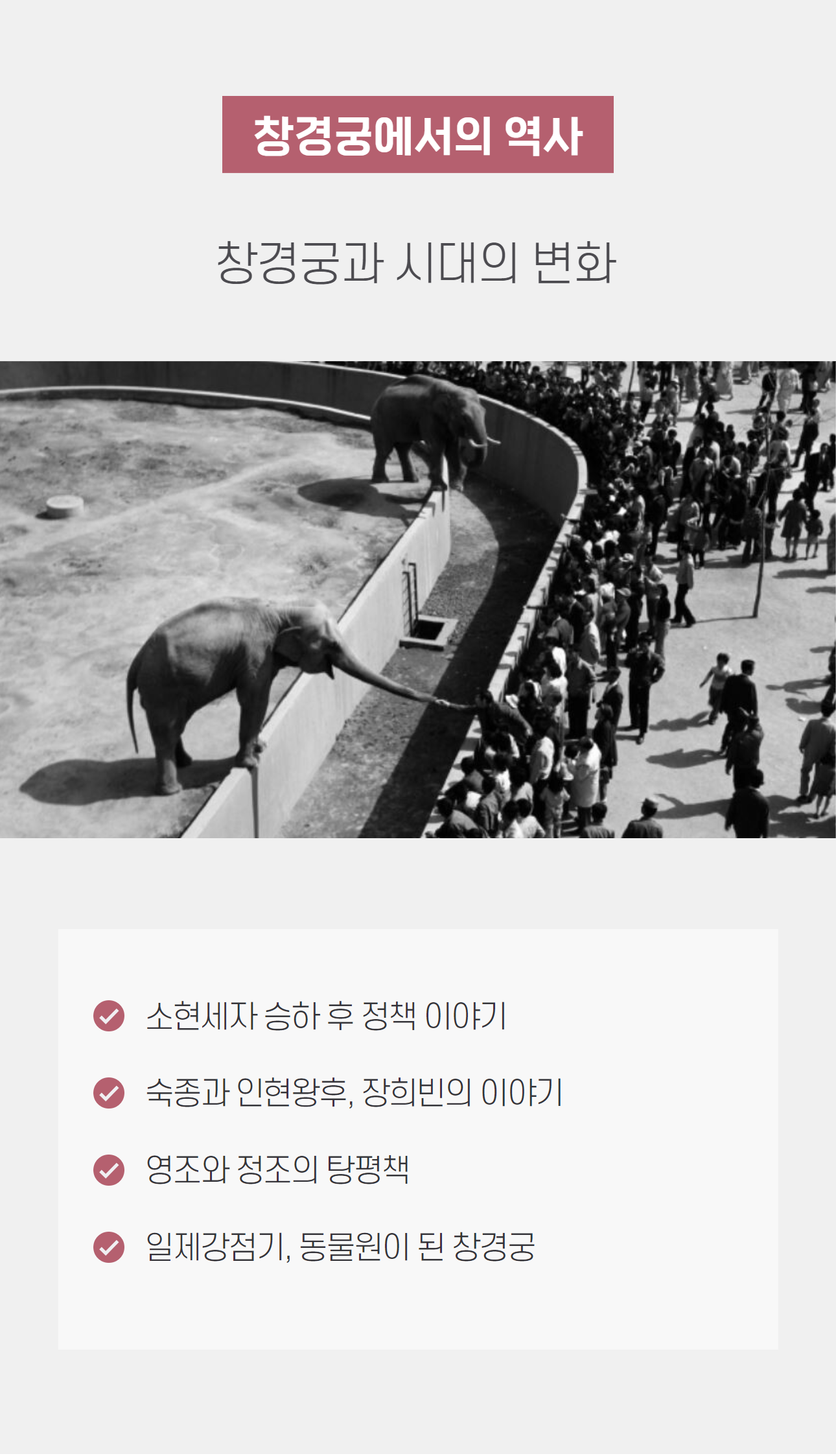 동물원이 된 궁궐 창경궁 상세 이미지 8 동물원이 된 궁궐 창경궁 상세 이미지 8