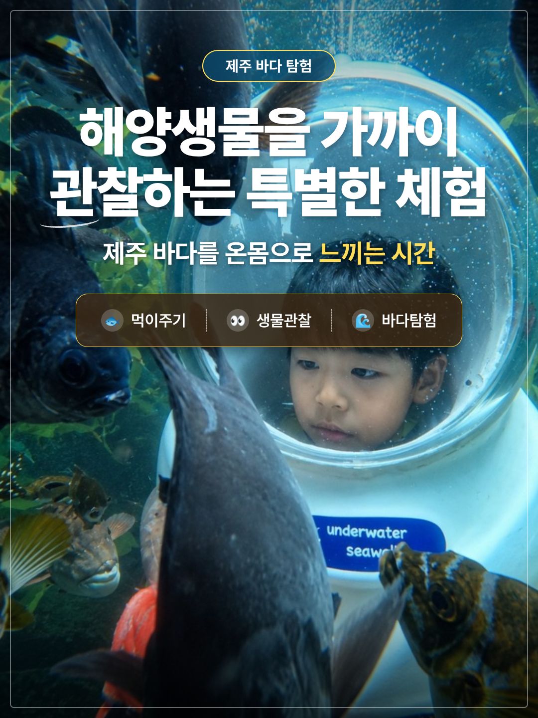 체험 이미지 1