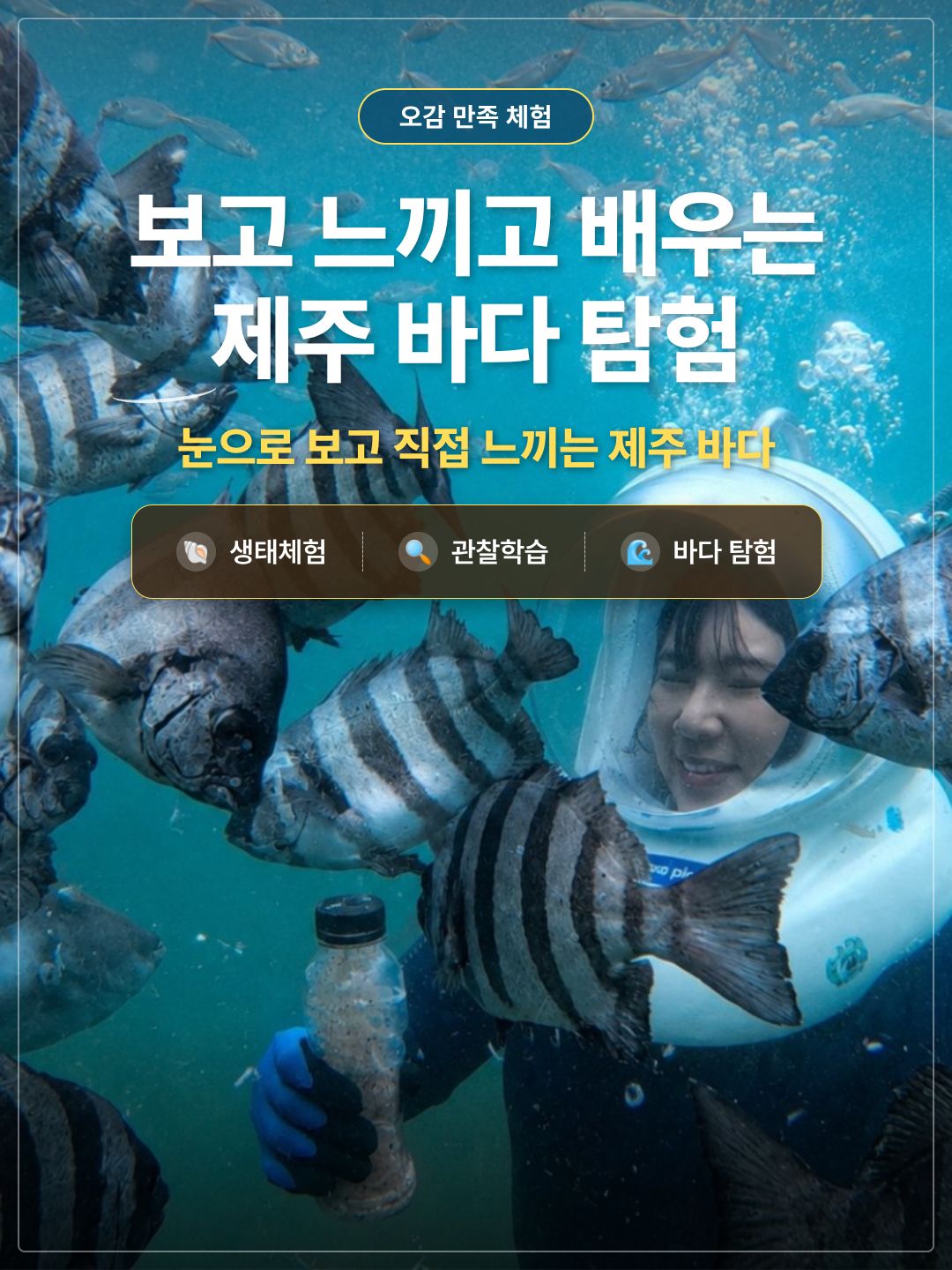 체험 이미지 3