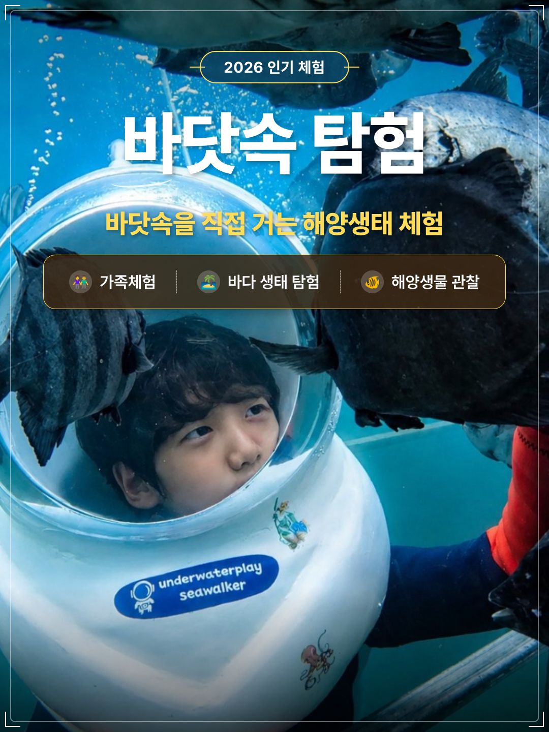체험 이미지 3
