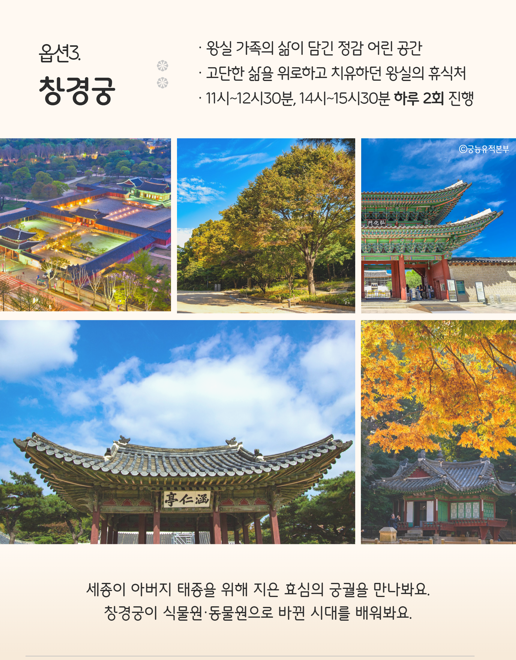 [명절투어1탄]추석 연휴에 가족들과 함께 창덕궁 체험  상세 이미지 5