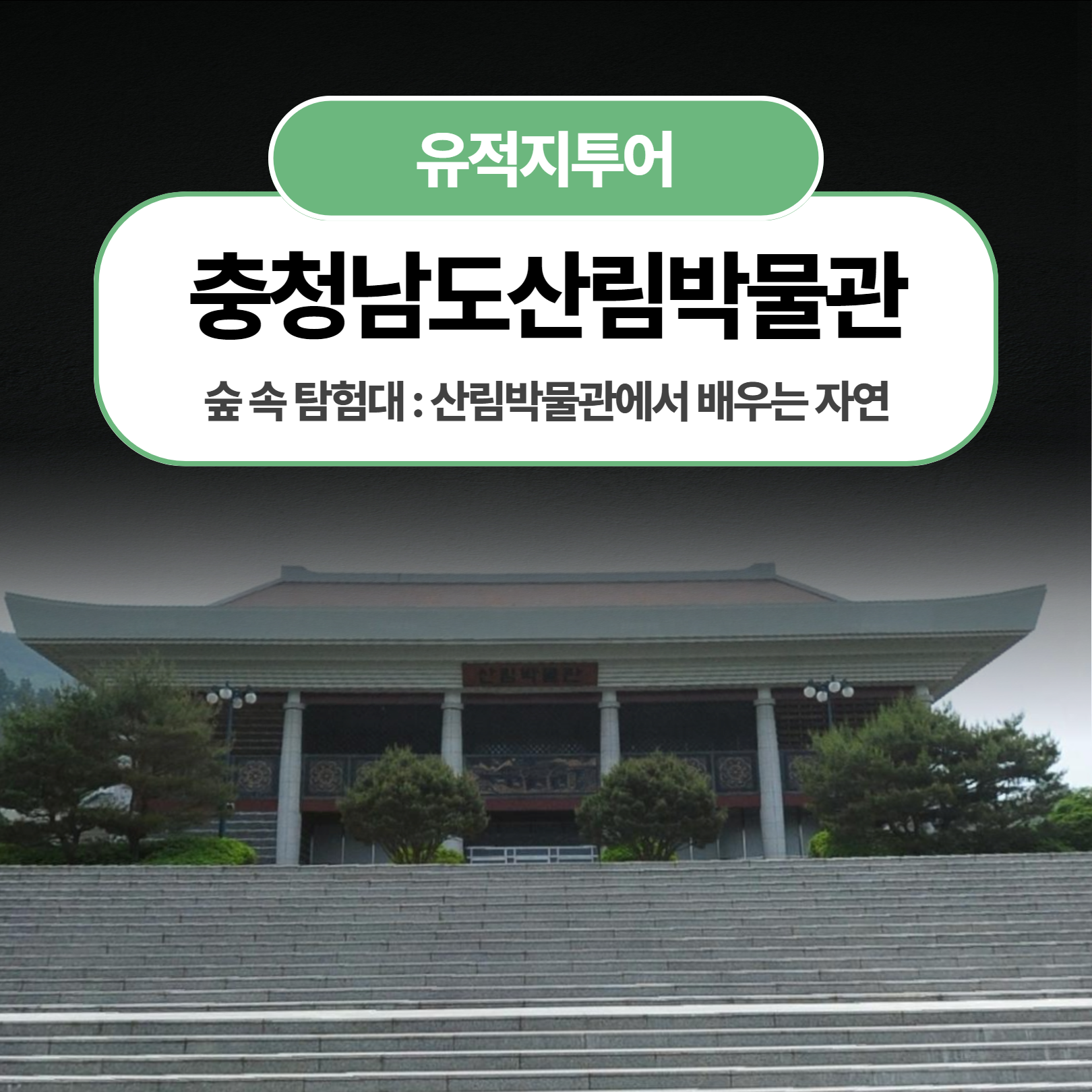 체험 이미지 1