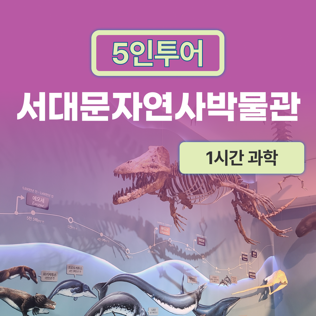 체험 이미지 1