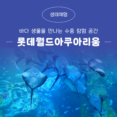 롯데월드아쿠아리움, 바다 생물을 만나는 수중 탐험 공간