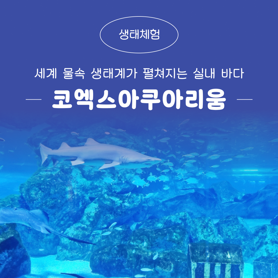 체험 이미지 1