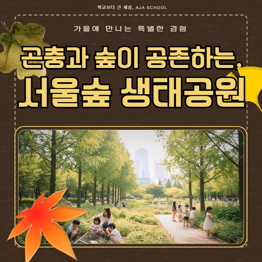 체험 이미지 1