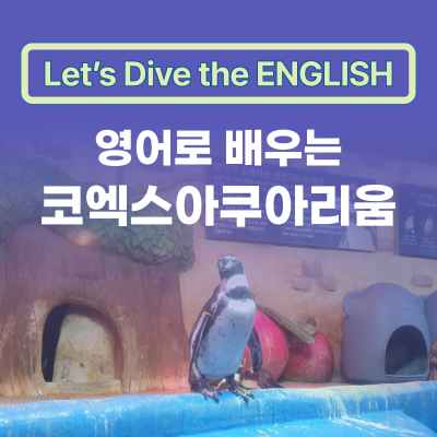 영어로 배우는 코엑스아쿠아리움