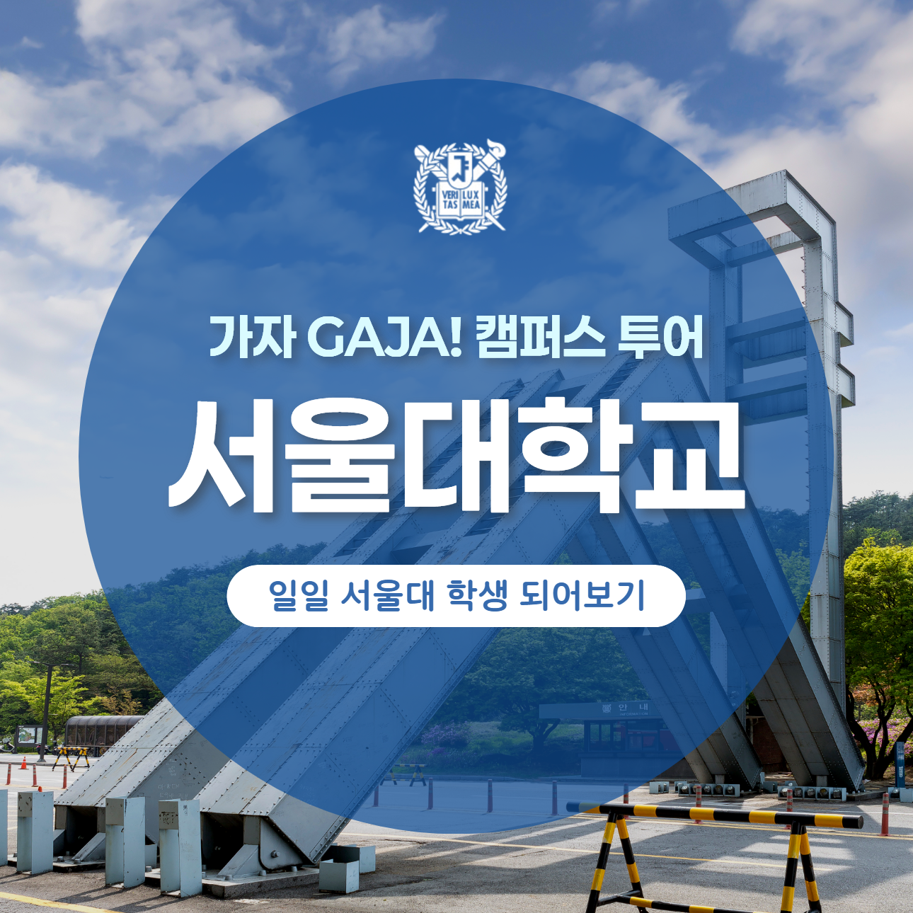 체험 이미지 1