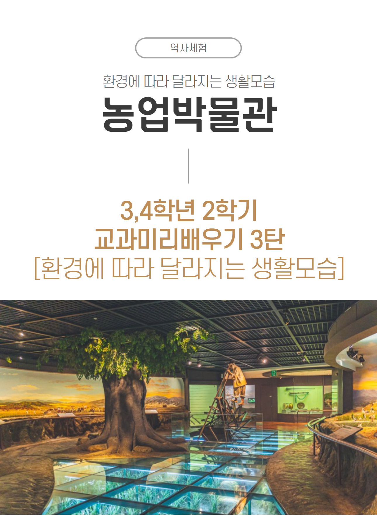상세 이미지 2