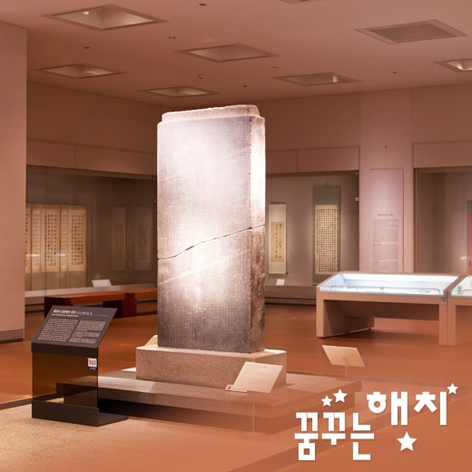 체험 이미지 1