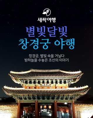 별빛 달빛 창경궁 야행
