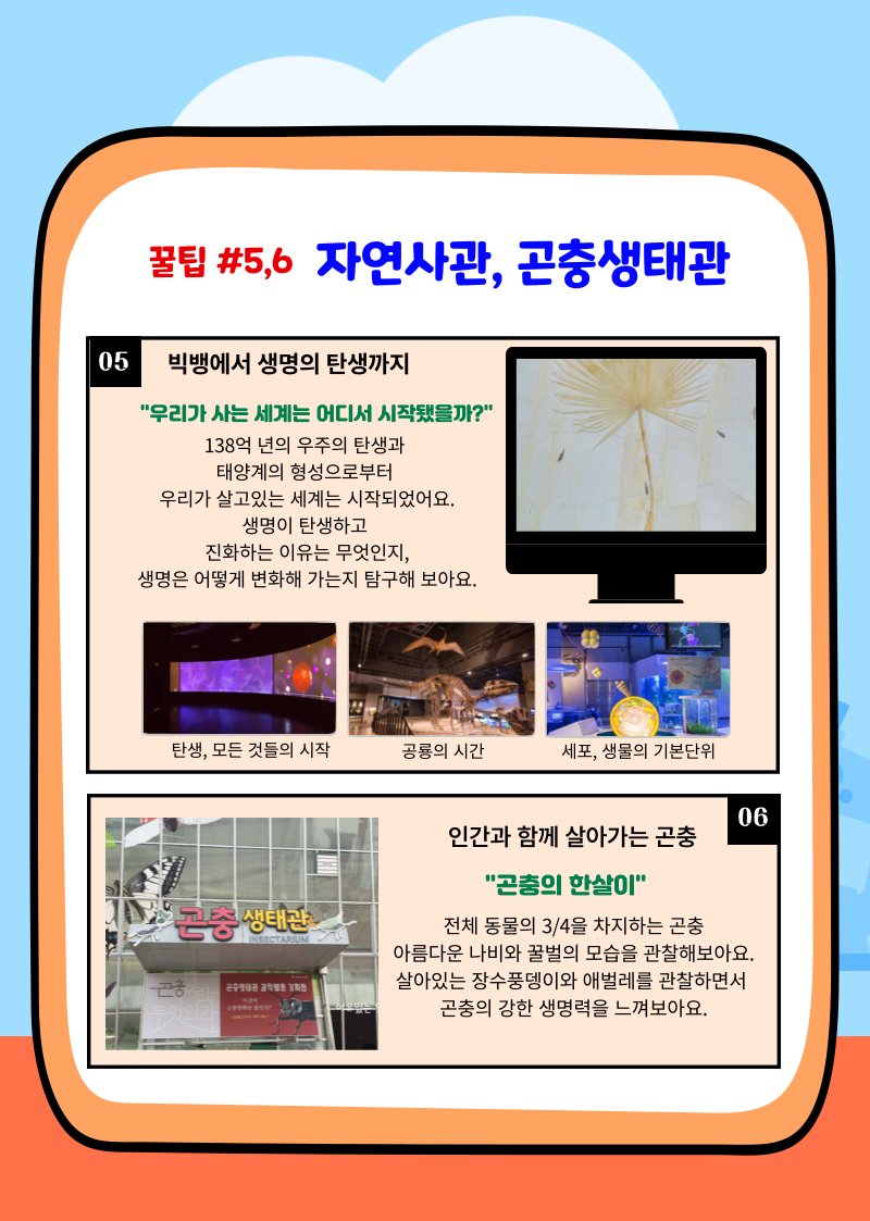 [여름방학 얼리버드]과천과학관 4번으로 완전정복! 상세 이미지 12