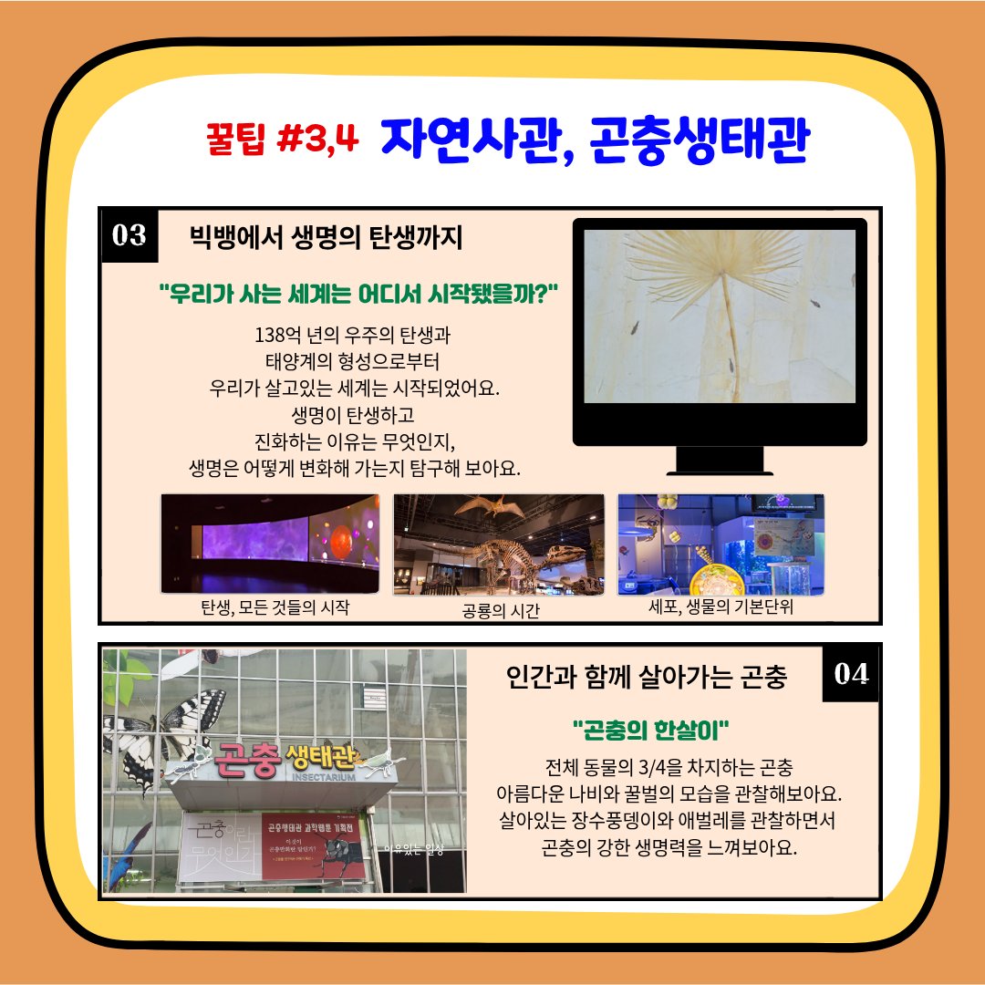 국립과천과학관 4회 특강 현장 사진 — 친구들과 소중한 체험, 전시체험·미래상상SF관·자연사관 등 실제 수업 장면 8컷 국립과천과학관 4회 특강 현장 사진 — 친구들과 소중한 체험, 전시체험·미래상상SF관·자연사관 등 실제 수업 장면 8컷