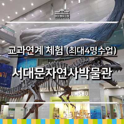 [26년 7,8월] 교과체험 서대문자연사박물관 4명수업