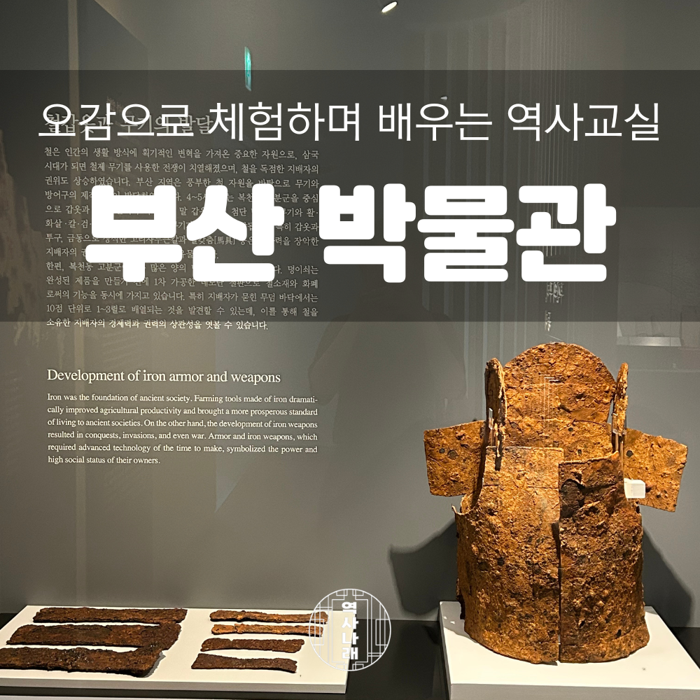 체험 이미지 1