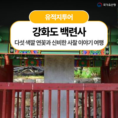 [백련사] 다섯 색깔 연꽃과 신비한 사찰 이야기 여행