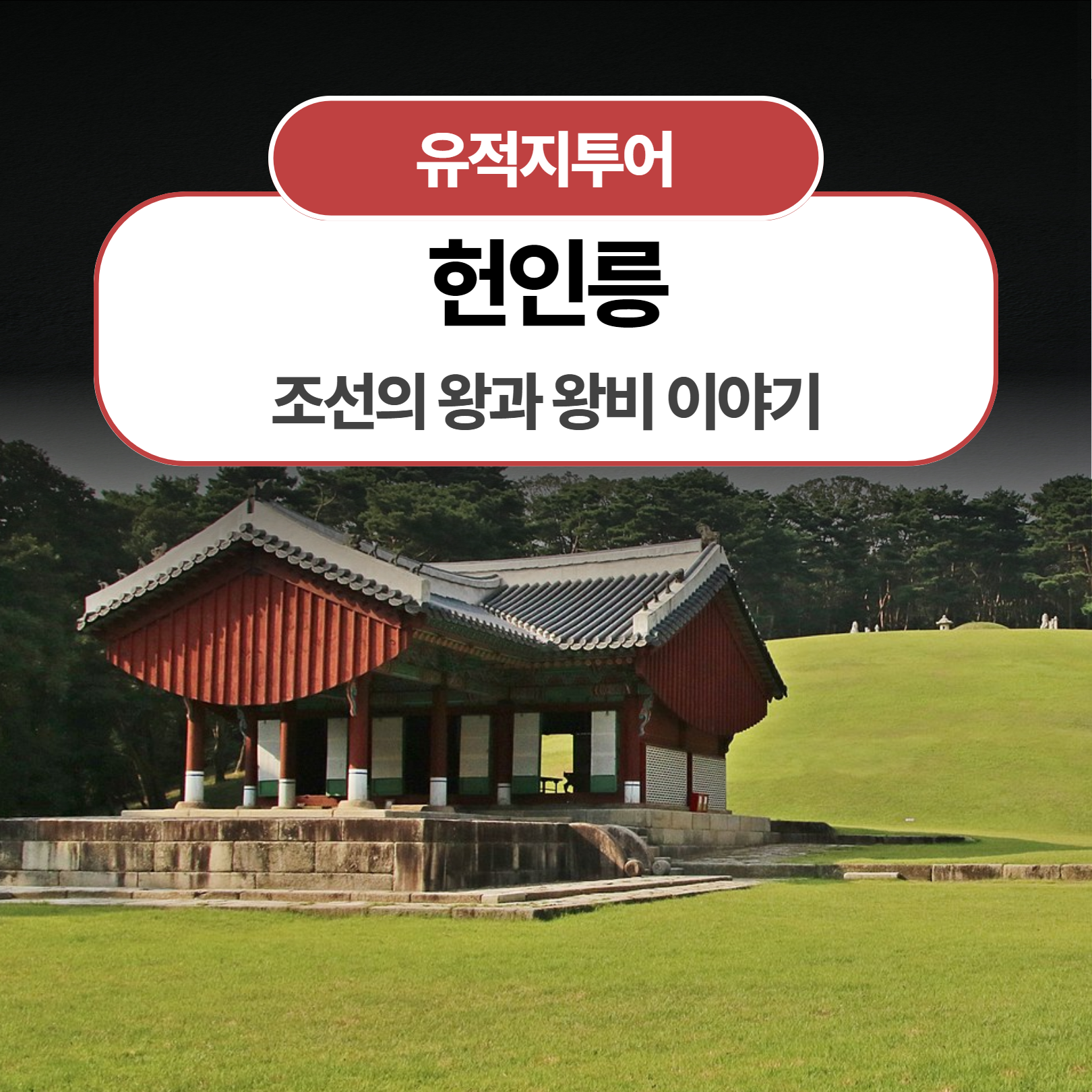 체험 이미지 1
