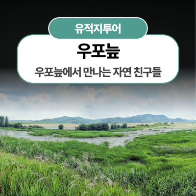우포늪에서 만나는 자연 친구들