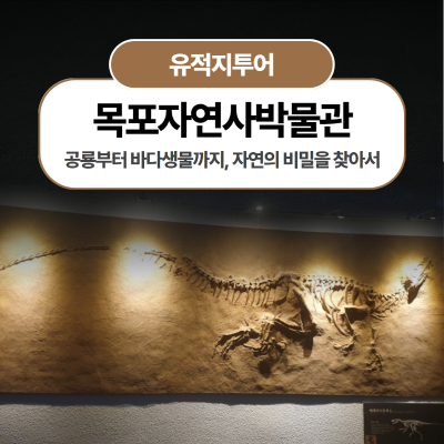 목포자연사박물관에서 떠나는 신나는 자연 탐험 여행