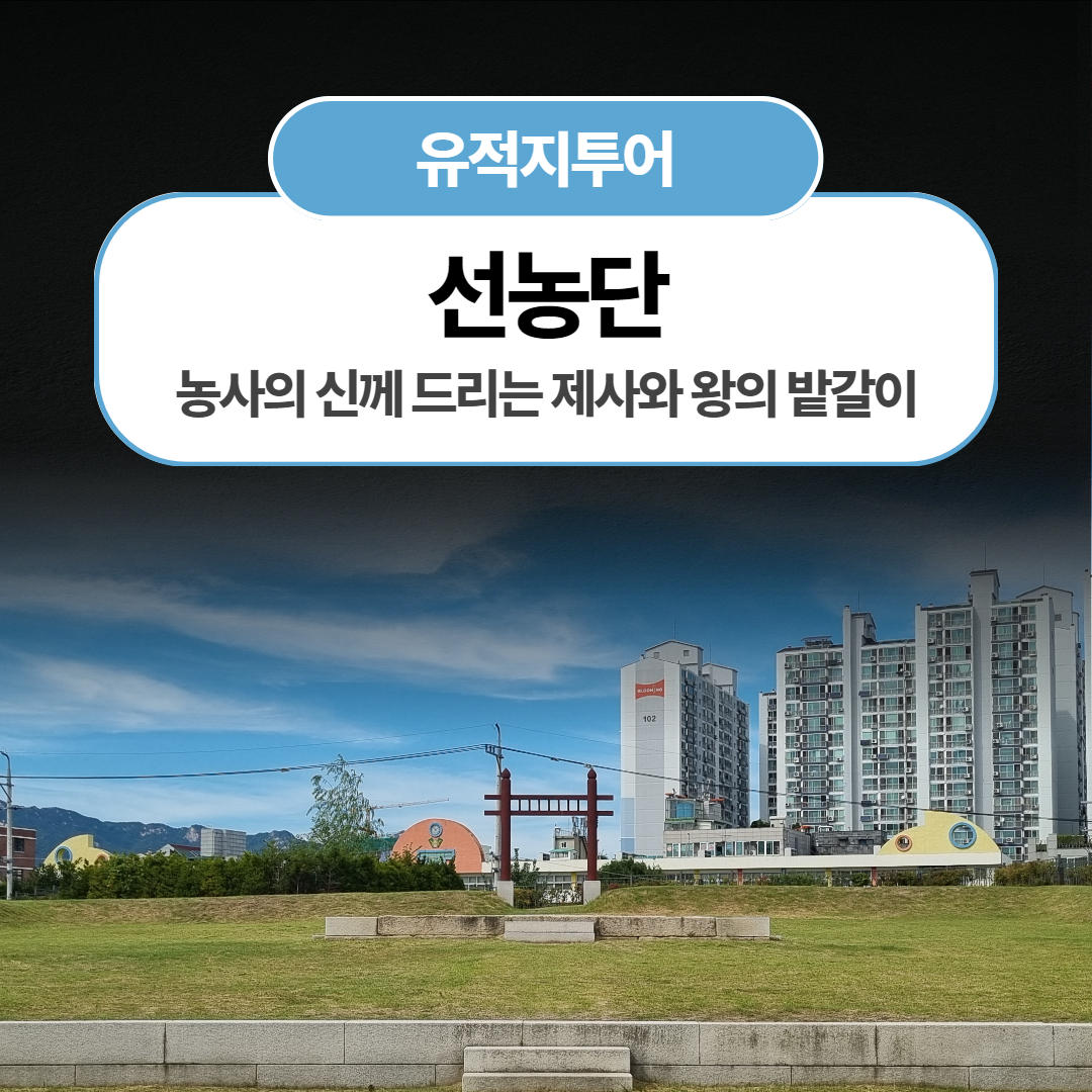 체험 이미지 1