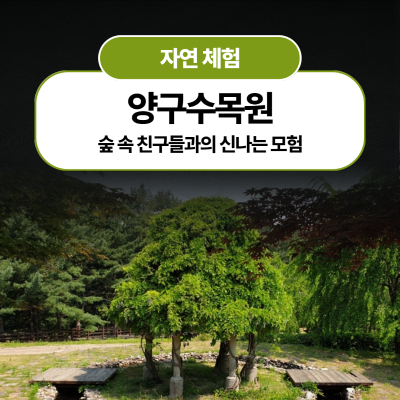 양구수목원에서 만나는 자연의 비밀