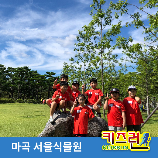 체험 이미지 1