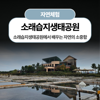소래습지생태공원에서 배우는 자연의 소중함
